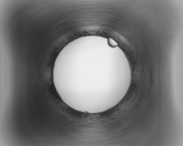 X0000103231062200809181519