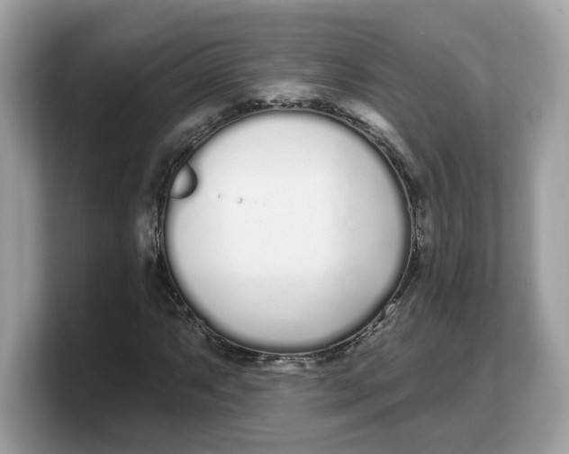 X0000103231063200809181519