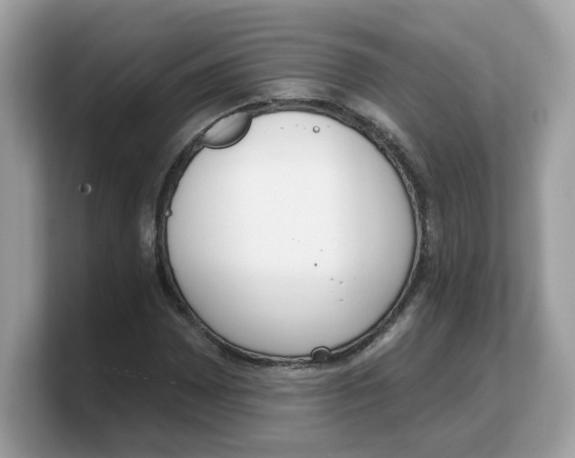 X0000103231065200809181519