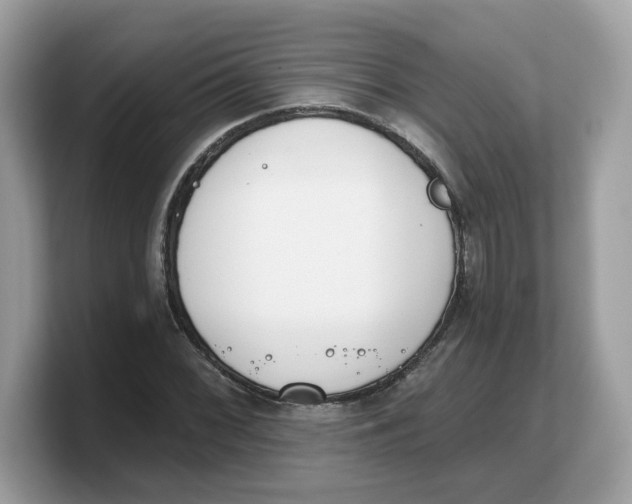 X0000103231068200809181519