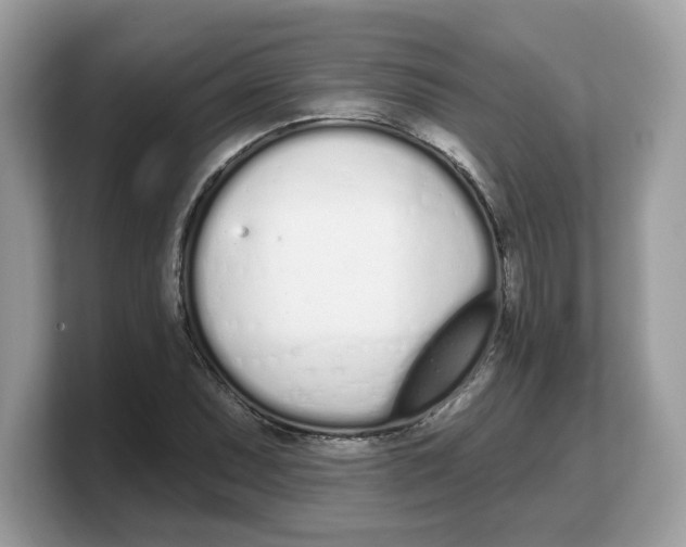 X0000103231071200809181519