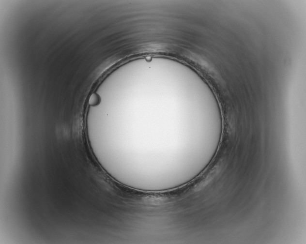 X0000103231073200809181519