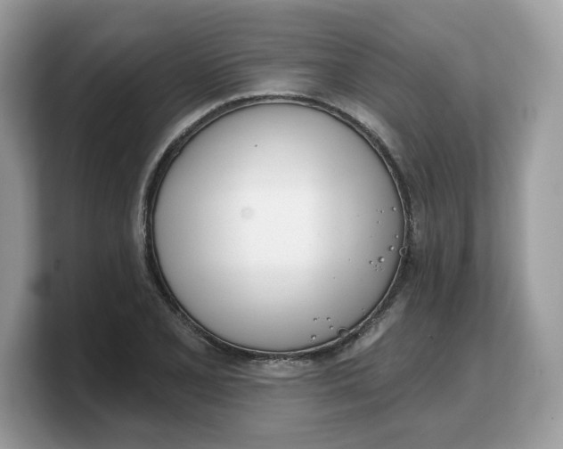 X0000103231077200809181519