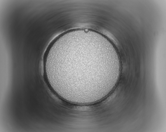 X0000103231079200809181519
