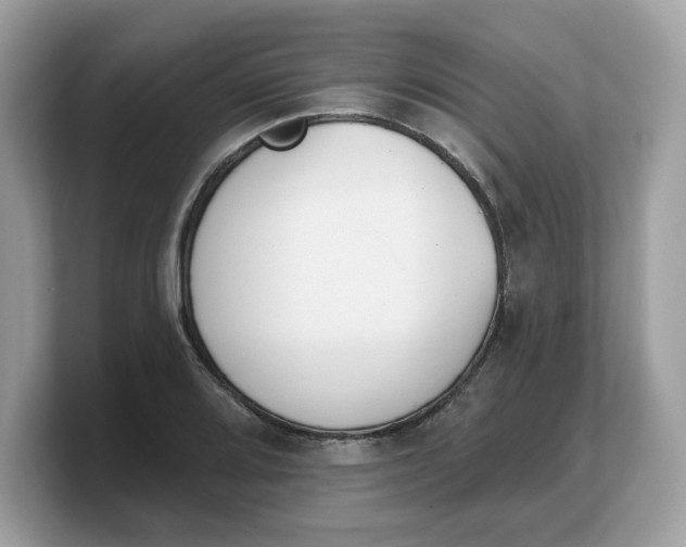 X0000103231080200809181519