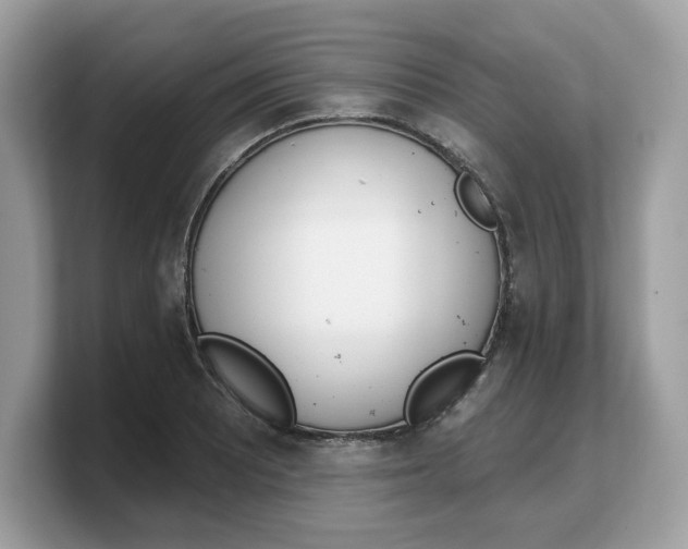 X0000103231081200809181519