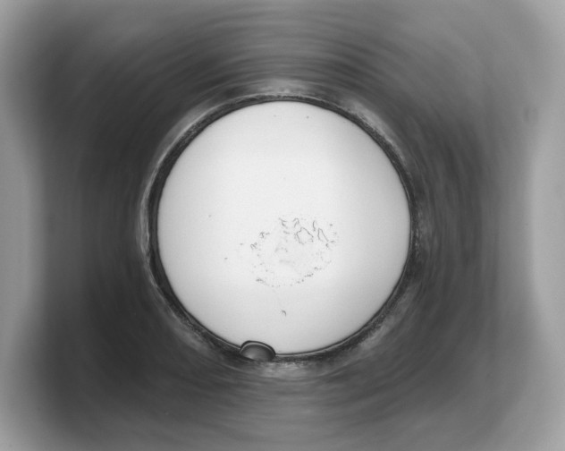 X0000103231082200809181519