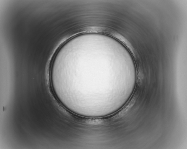 X0000103231083200809181519