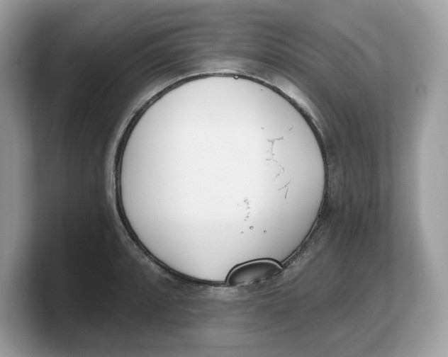 X0000103231088200809181519