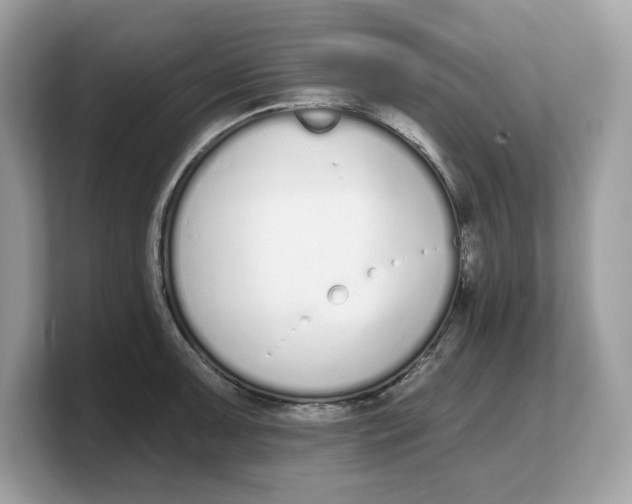 X0000103231091200809181519