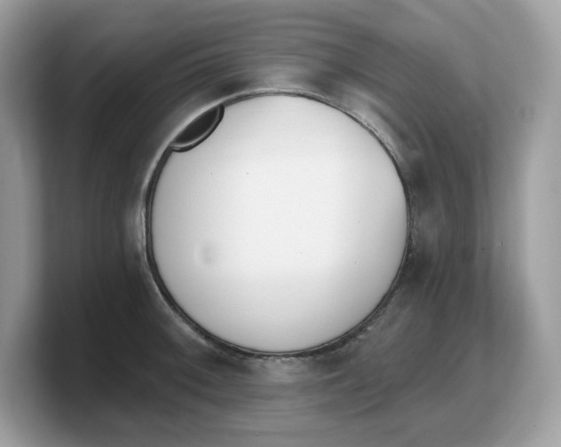 X0000103231092200809181519