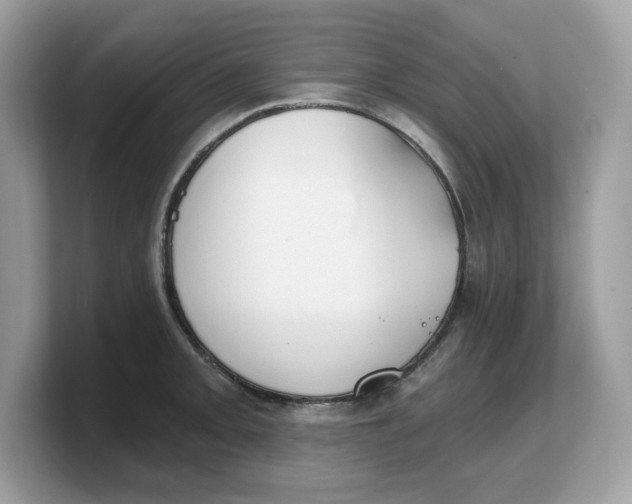 X0000103231093200809181519