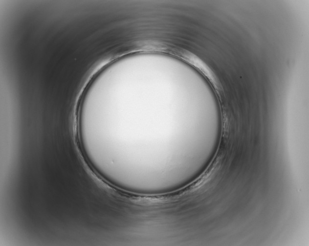 X0000103231095200809181519