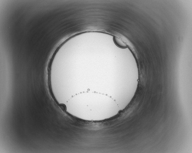 X0000103231096200809181519