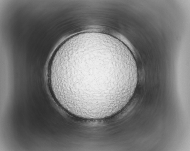 X0000103231099200809181519