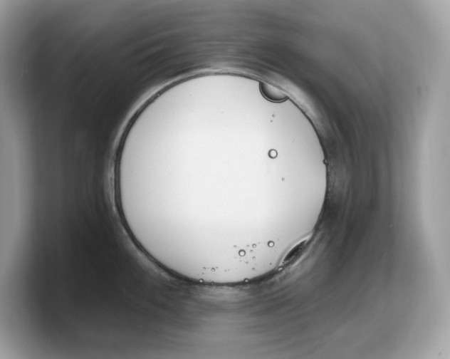 X0000103231100200809181519