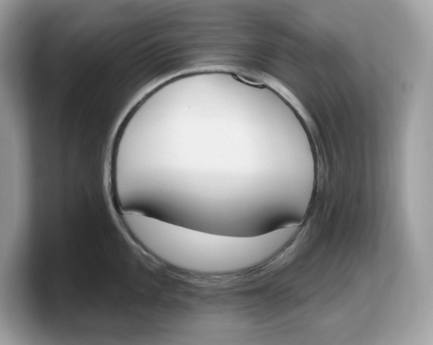 X0000103231101200809181519