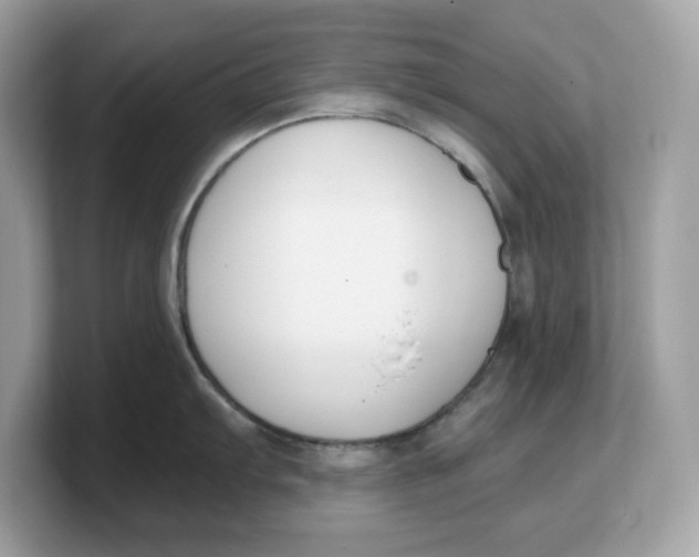 X0000103231103200809181519
