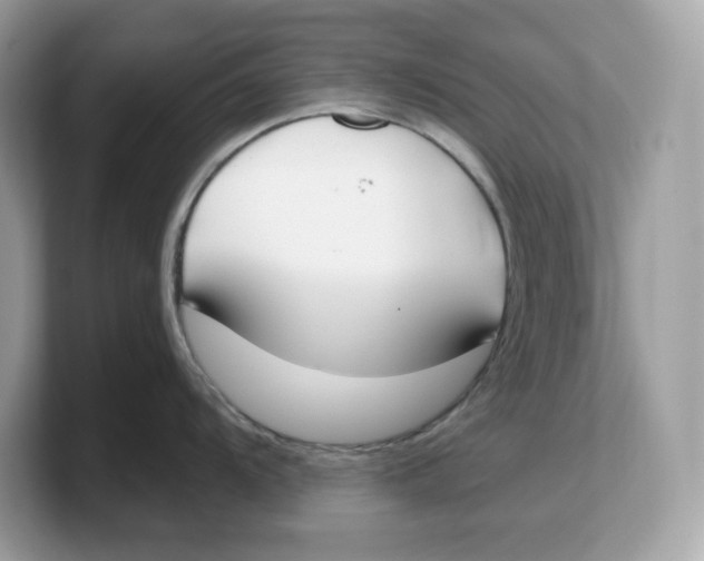 X0000103231104200809181519