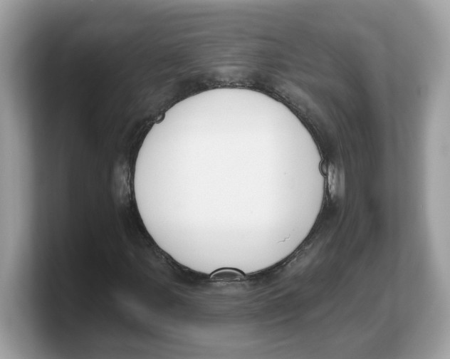 X0000103231107200809181518