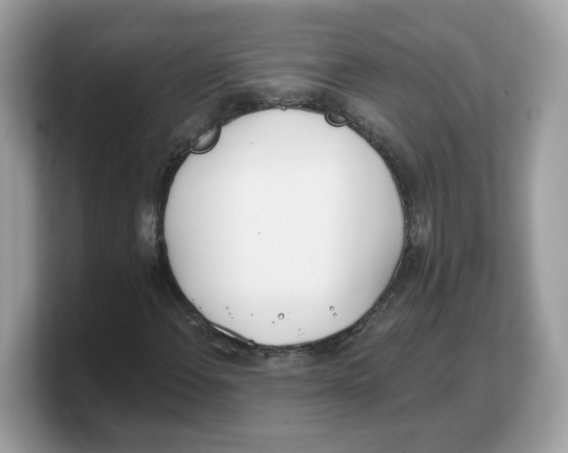 X0000103231108200809181518