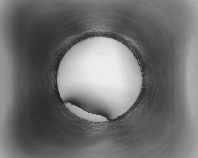 X0000103231110200809181518