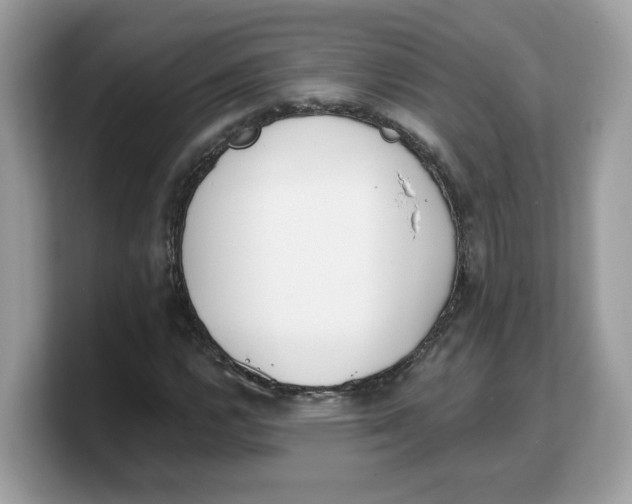X0000103231112200809181518