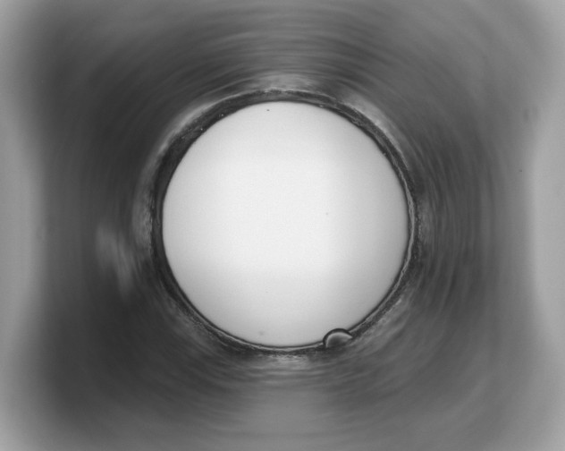 X0000103231115200809181518