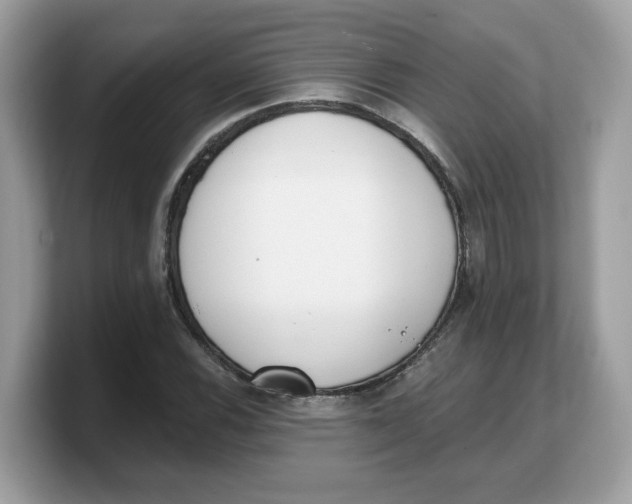 X0000103231116200809181518