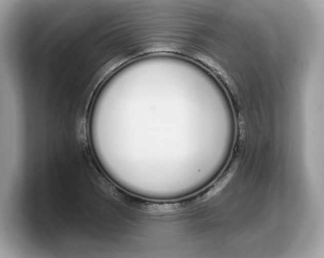 X0000103231121200809181518