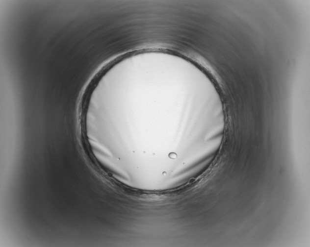 X0000103231124200809181518