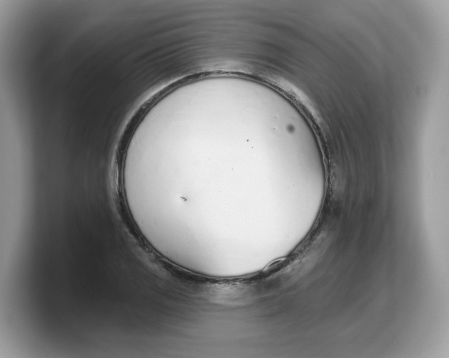 X0000103231125200809181518