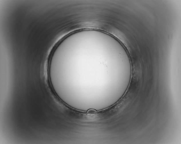 X0000103231128200809181518