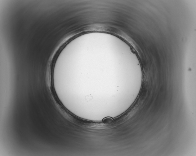 X0000103231131200809181518