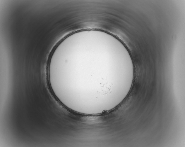 X0000103231134200809181518