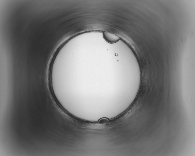 X0000103231135200809181518