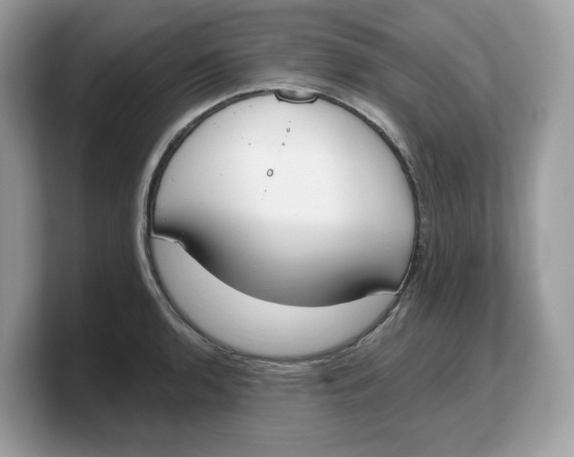 X0000103231136200809181518