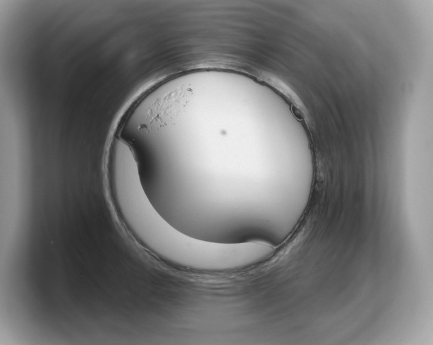 X0000103231138200809181518