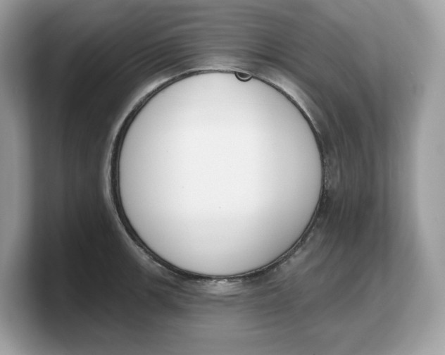 X0000103231139200809181518
