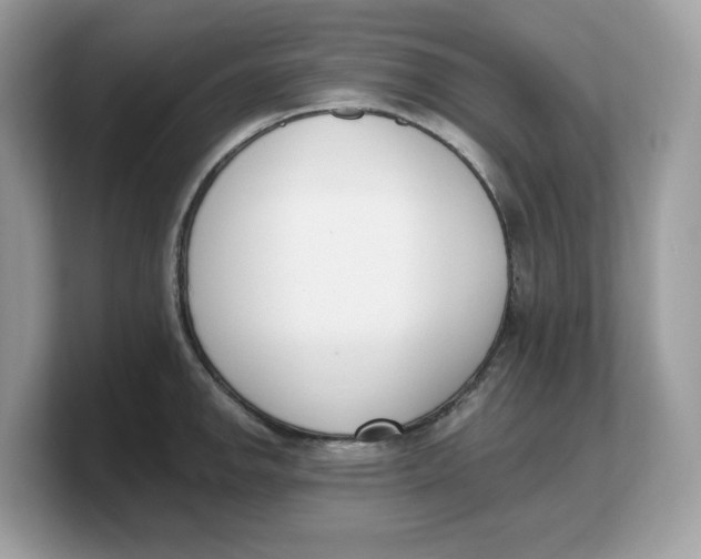 X0000103231142200809181518
