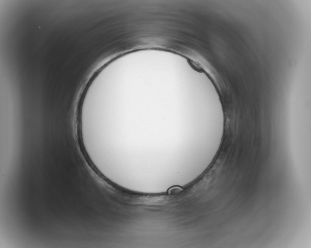 X0000103231143200809181518