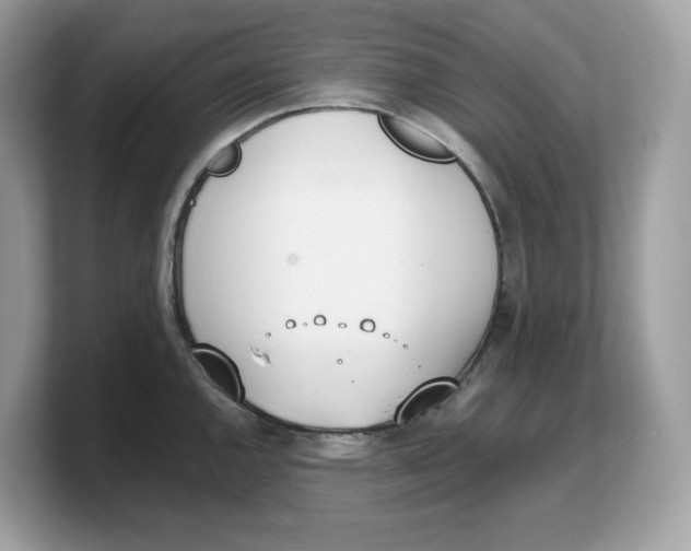 X0000103231144200809181519