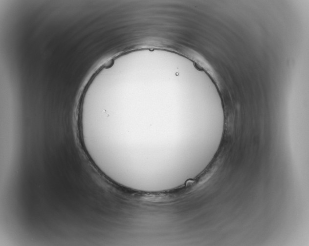 X0000103231146200809181519