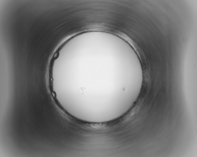 X0000103231147200809181519