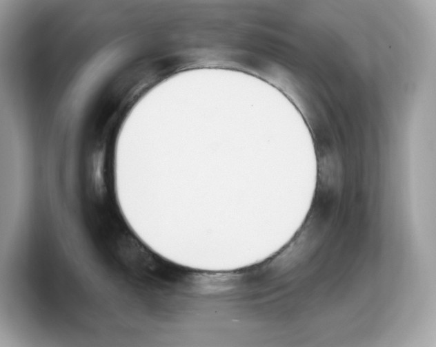 X0000103231150200809181519