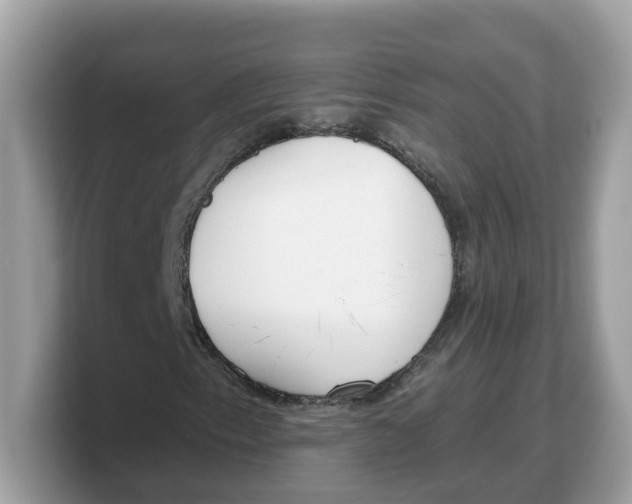 X0000103231153200809181518