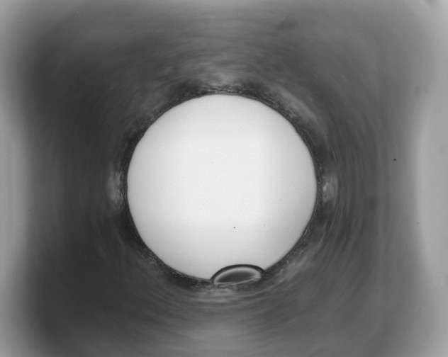 X0000103231156200809181518