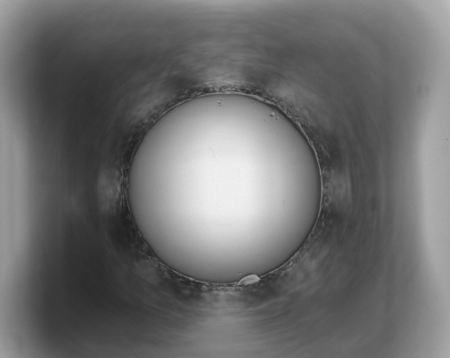 X0000103231157200809181518