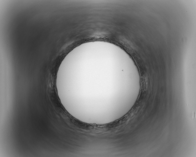 X0000103231158200809181518