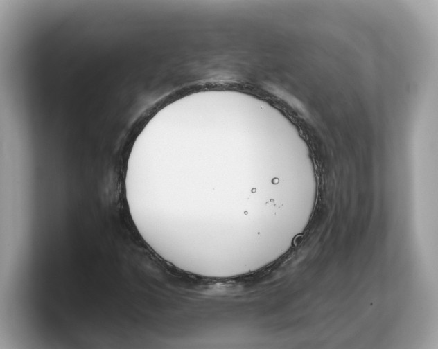X0000103231160200809181518